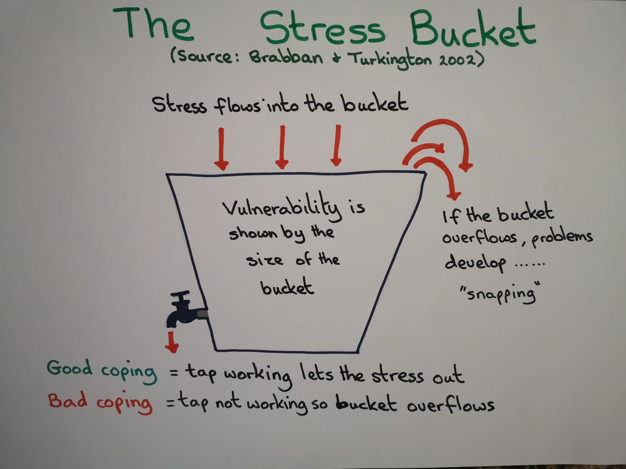 The Stress Bucket 4 Dementia Carers