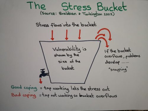 Your stress bucket has a tap which opens when you have some 'me time'. The stress pours out which keeps your stress levels manageable.